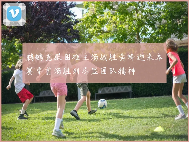 鹈鹕克服困难主场战胜黄蜂迎来本赛季首场胜利尽显团队精神